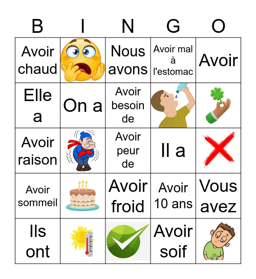 Avoir + expressions Bingo Card