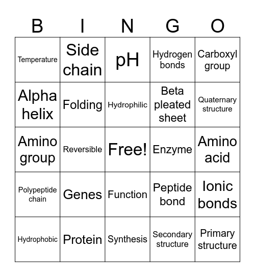 Amoeba Sisters: Protein Folding Bingo Card