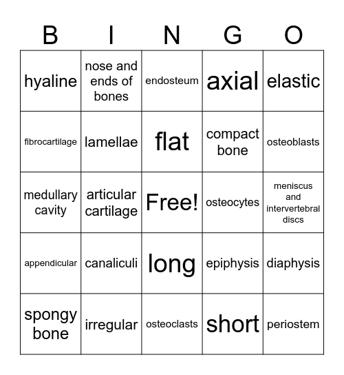 Skeletal Vocab Bingo Card