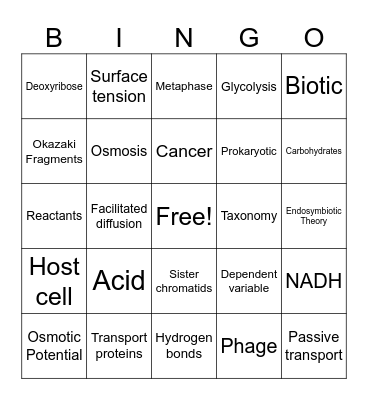 2024-2025 Semester A Biology Summative Review Bingo Card