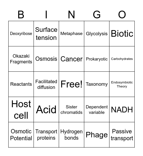 2024-2025 Semester A Biology Summative Review Bingo Card
