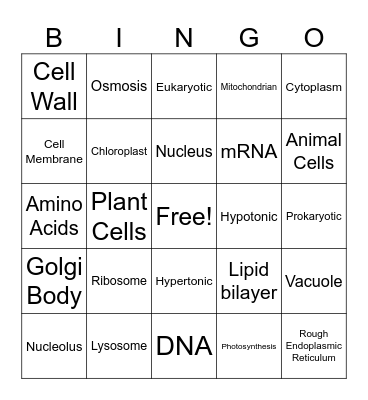 Cells Bingo Card