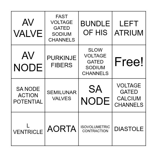 Cardiac Cycle "Who Am I?" Bingo Card