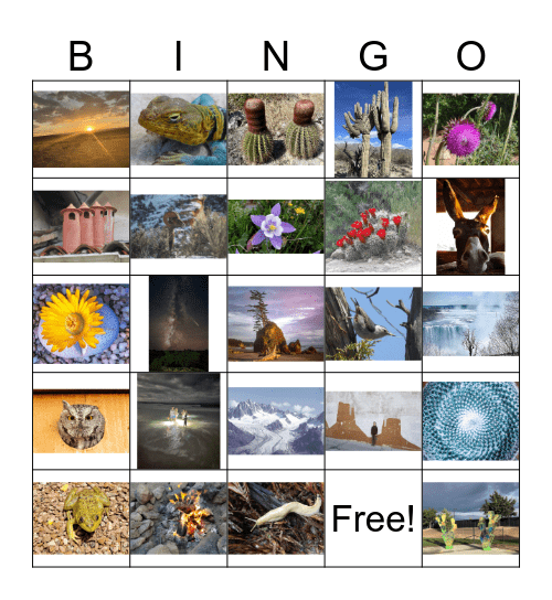 Chinle Cactus and Succulent Society 2024 Bingo Card