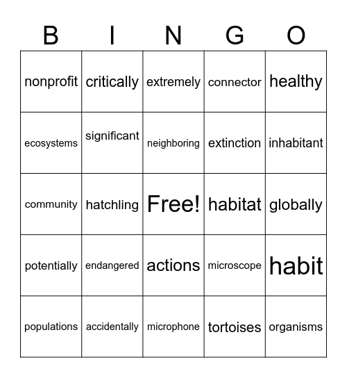 BINGO 1 Bingo Card