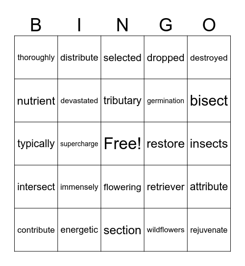 BINGO 2 Bingo Card