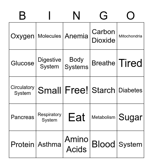 Metabolism Bingo Card