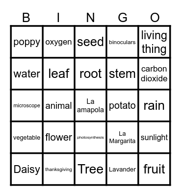 Repaso Bingo Card