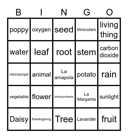 Repaso Bingo Card