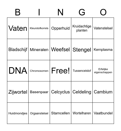 Begrippen Bingo Thema 2 Bingo Card