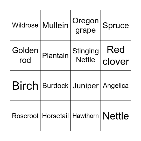 Indigenous Botanicals Bingo Card