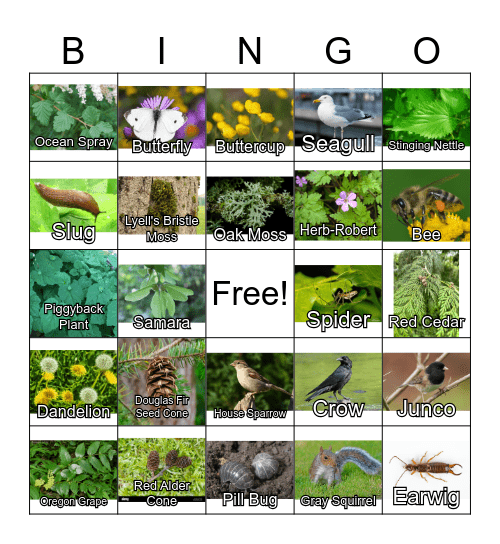 Carkeek Adventure Bingo Card