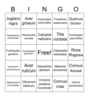 Plants Bingorama! Bingo Card