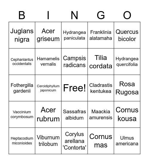 Plants Bingorama! Bingo Card