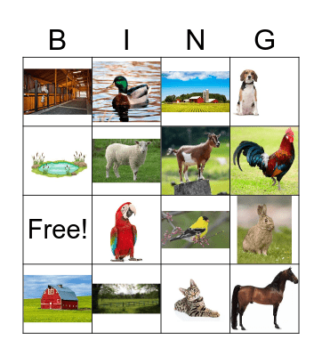 Los Animales Bingo Card
