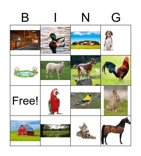 Los Animales Bingo Card