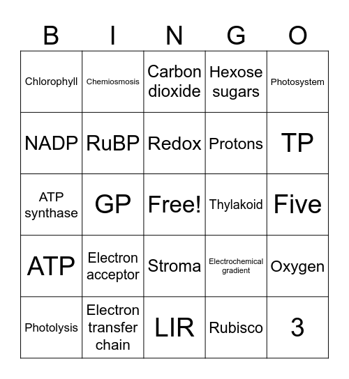 Photosynthesis Bingo Card