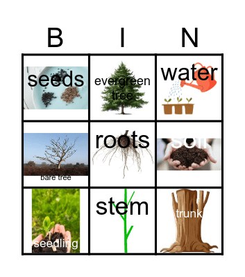 PLANTS Bingo Card