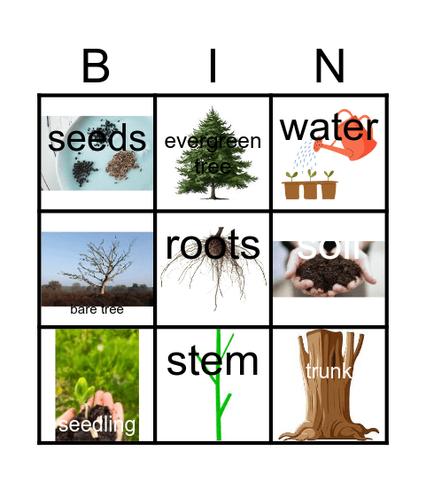 PLANTS Bingo Card