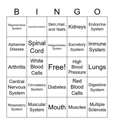 Body System Bingo Card