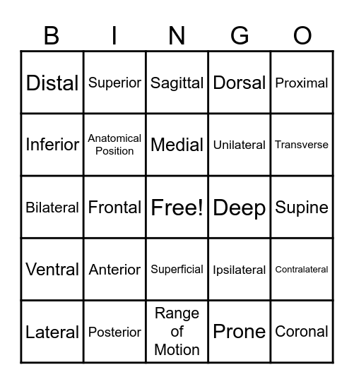 Directional Terms Bingo Card