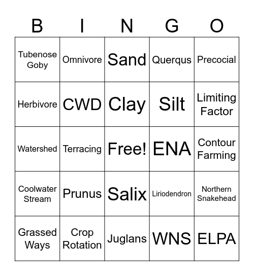 Column One Bingo Card