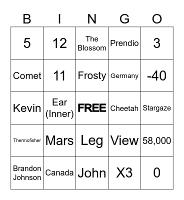 Portal Bingo Card