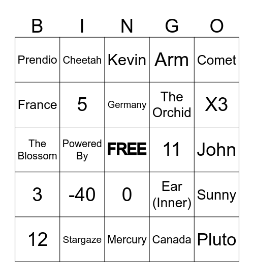 Portal Bingo Card