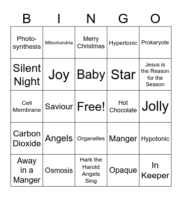Christmas Science 8 Review Bingo Card
