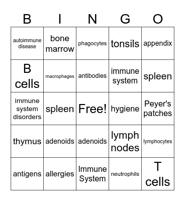 Immune System Bingo Card