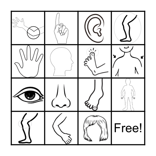 Body Bingo! Bingo Card