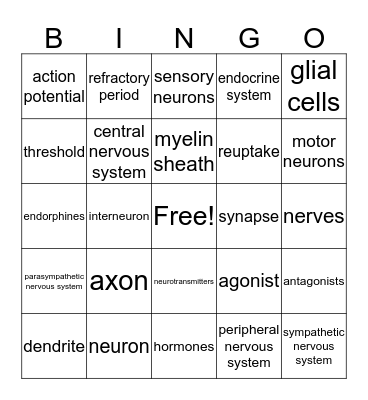 Module 3: Neural & Hormonal Systems! Bingo Card