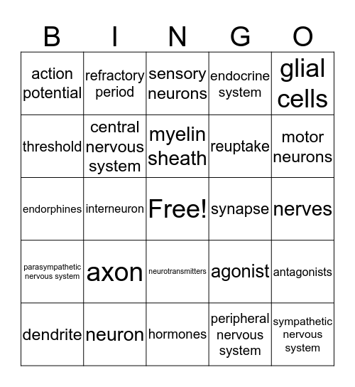 Module 3: Neural & Hormonal Systems! Bingo Card