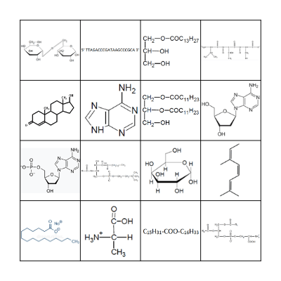 Biomolécules Bingo Card