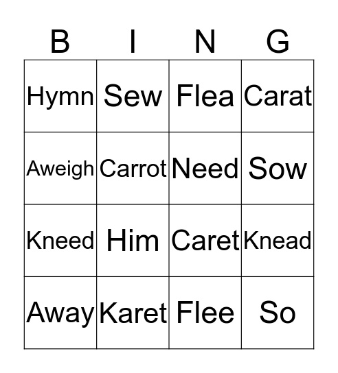 Matthew and Charlie's homophones  Bingo Card