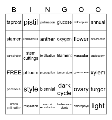 Plant Science Bingo! Bingo Card