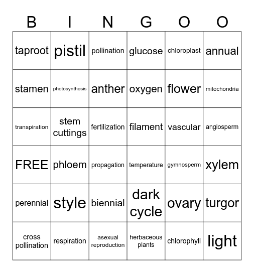 Plant Science Bingo! Bingo Card