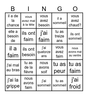 Avoir Expressions Bingo Card