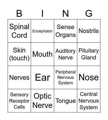 THE INTERACTION FUNCTION Bingo Card