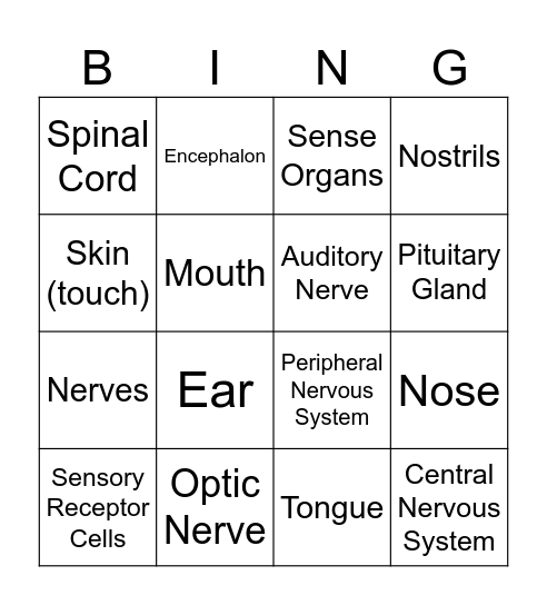 THE INTERACTION FUNCTION Bingo Card