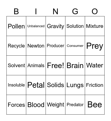 Science Bingo Card