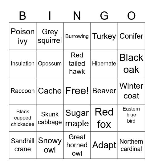 Indian Dunes Winter Bingo Card