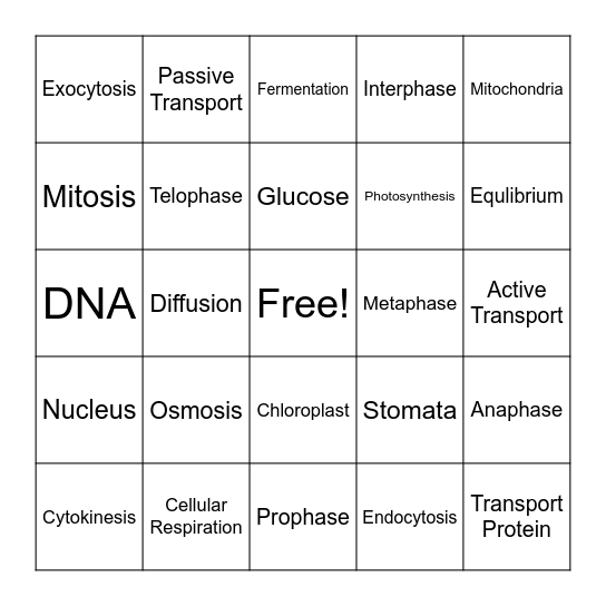 Cell Function Bingo Card
