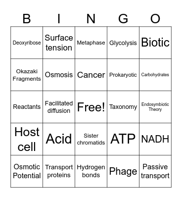 2024-2025 Semester A Biology Summative Review Bingo Card
