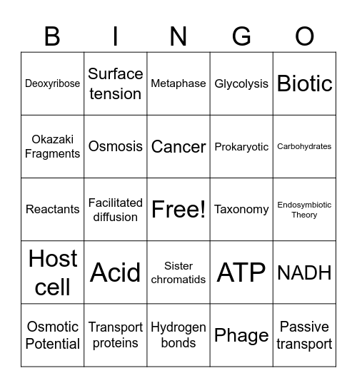 2024-2025 Semester A Biology Summative Review Bingo Card