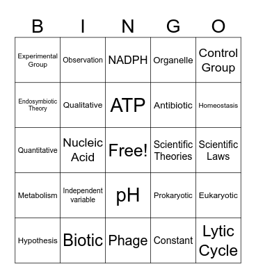 2024-2025 Semester A Biology Summative Review Bingo Card