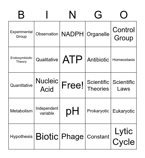 2024-2025 Semester A Biology Summative Review Bingo Card