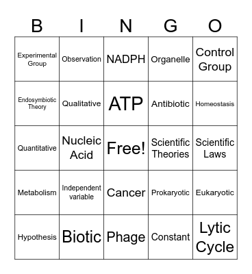 2024-2025 Semester A Biology Summative Review Bingo Card