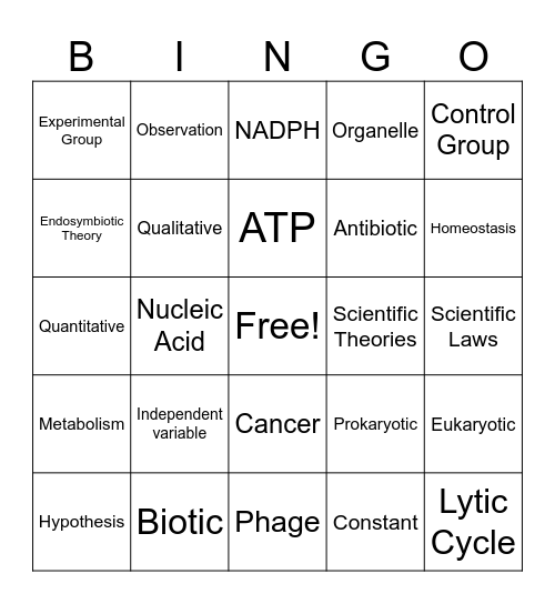 2024-2025 Semester A Biology Summative Review Bingo Card