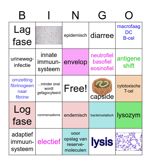 ONVERGETELIJKE MIA KENNIS-BINGO Card